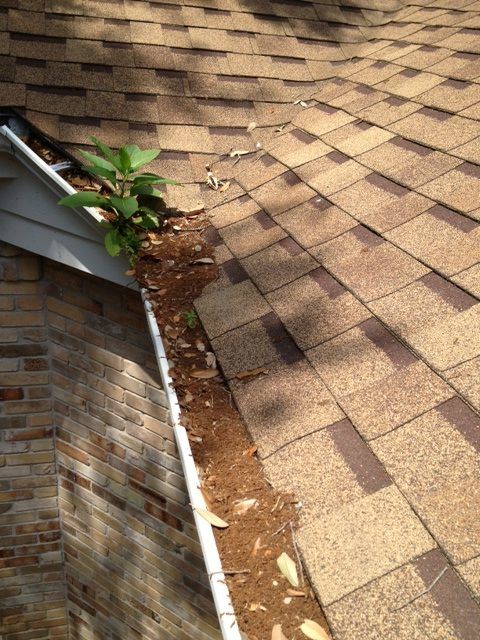 New Braunfels Roof Inspection